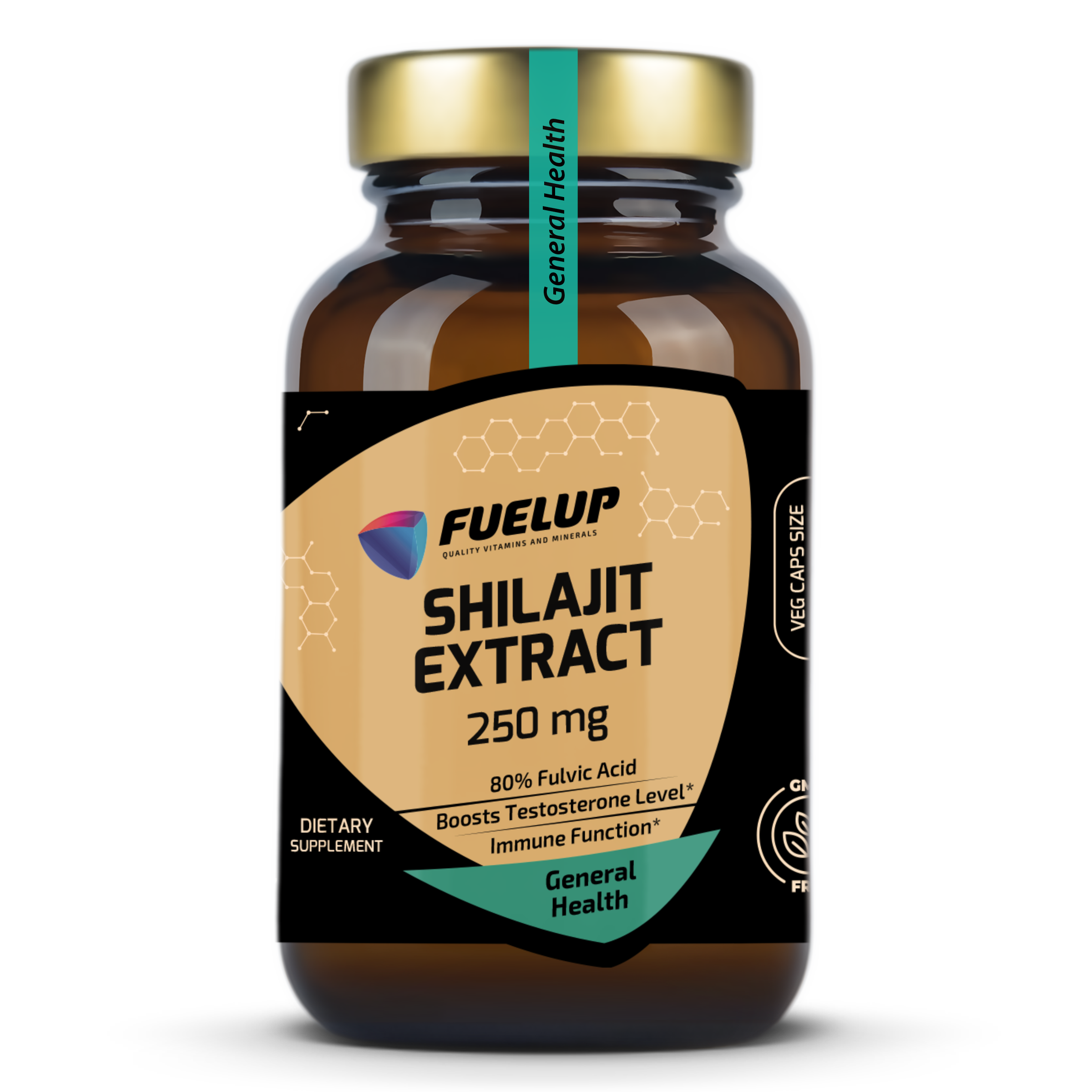 Fuel-Up Shilajit Extract 250 mg – 60 veģetārās kapsulas